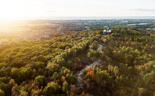 Bidston Hill | Bidston (2018)
