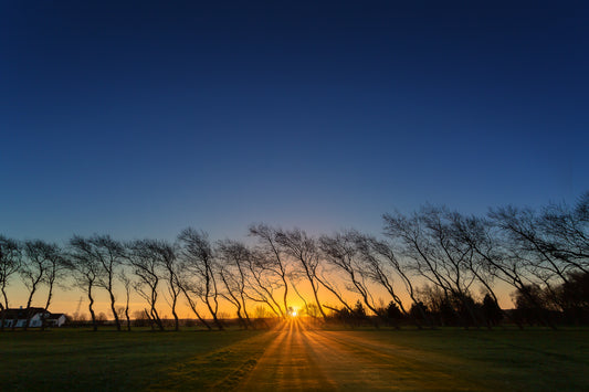 Hoylake Municipal Golf Course, Wirral, UK 02/01/17