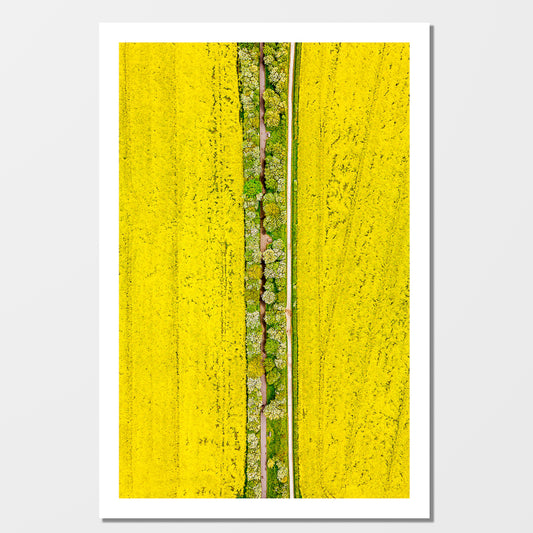 The Yellow Way | Thurstaston (2019)